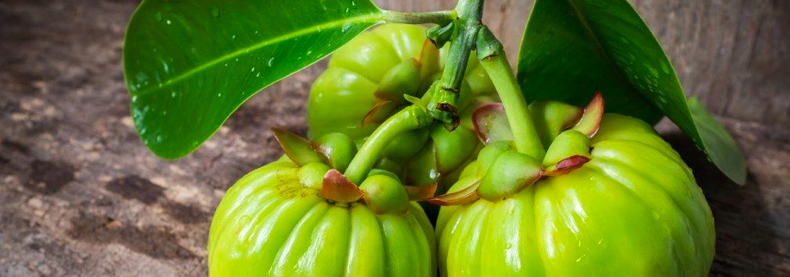 Garcinia Cambogia